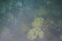 
DSC00238